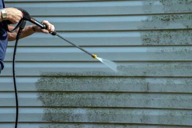 Best Driveway Pressure Washing  in Novi, MI